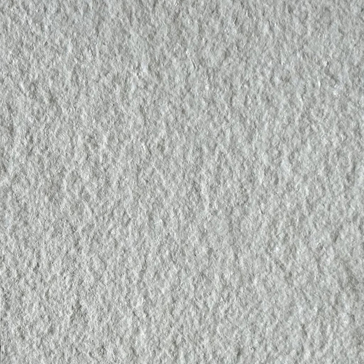 Feuille de pierre Marbre Image