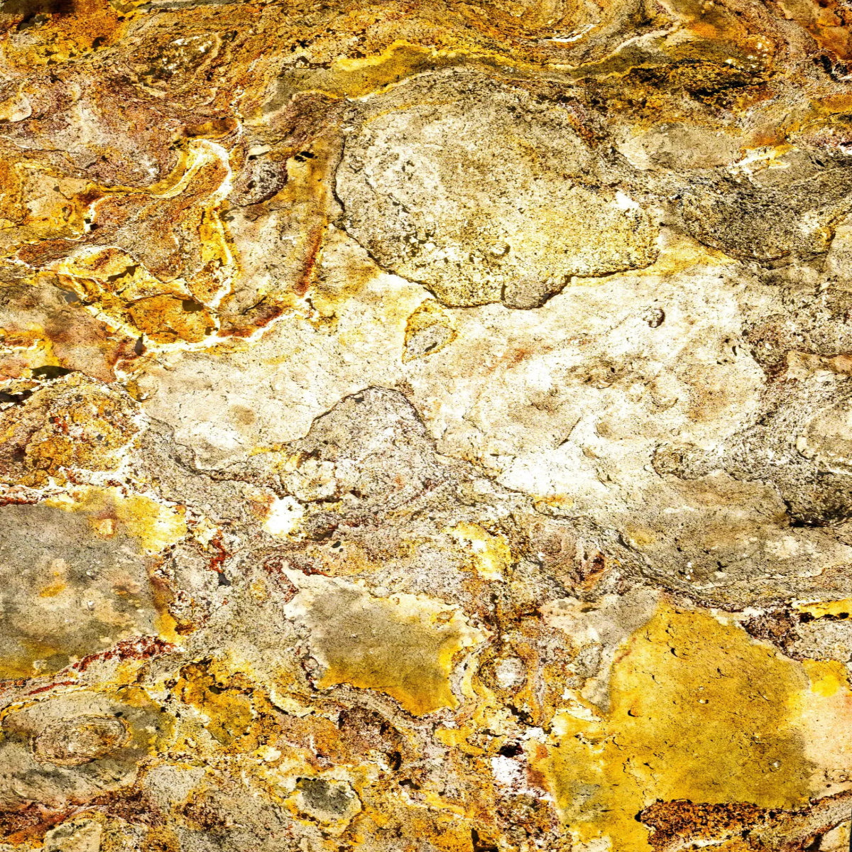 Feuille de pierre Translucide Cordoba